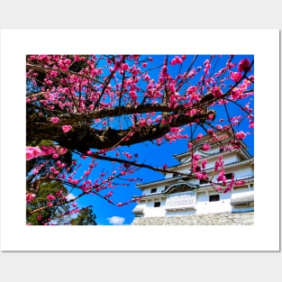 Photography - Spring in Japan Posters and Art